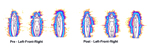 AURIC FIELD